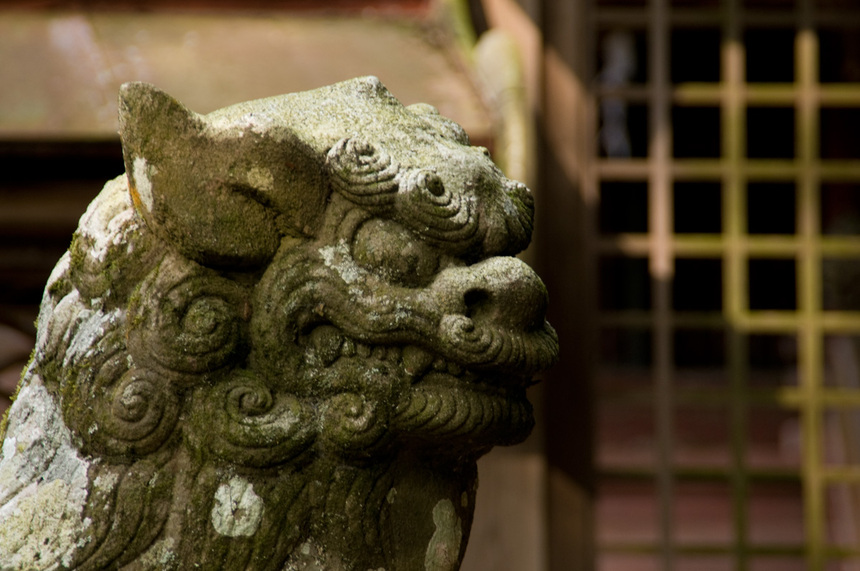 写真・カメラエントリー：尼寺の狛犬